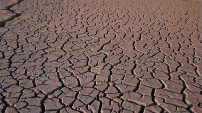 a cracked mudflat surface forming polygonal desiccation plates