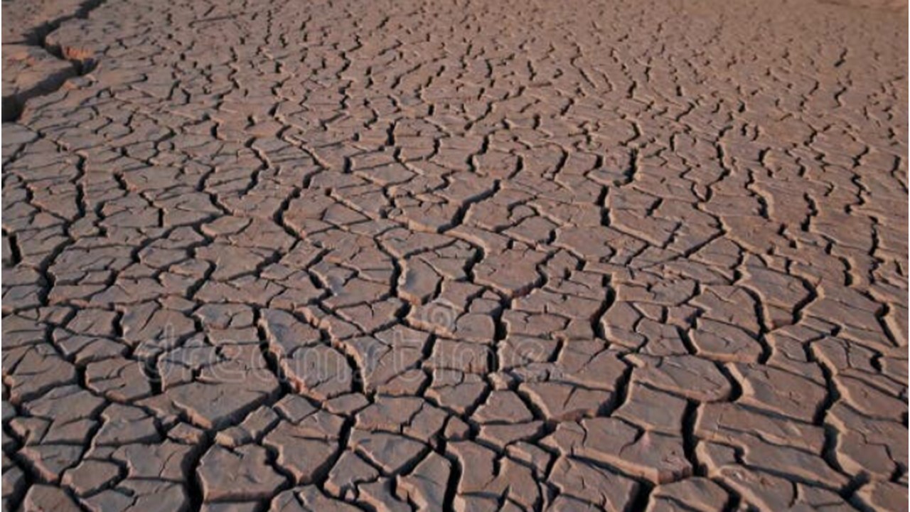 a cracked mudflat surface forming polygonal desiccation plates